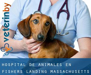 Hospital de animales en Fishers Landing (Massachusetts)