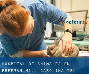 Hospital de animales en Freeman Mill (Carolina del Norte)
