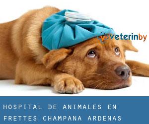 Hospital de animales en Frettes (Champaña-Ardenas)