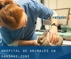 Hospital de animales en Gandakī Zone