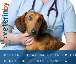 Hospital de animales en Greene County por ciudad principal - página 1