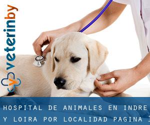 Hospital de animales en Indre y Loira por localidad - página 1