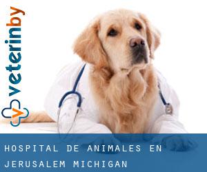 Hospital de animales en Jerusalem (Michigan)