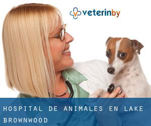 Hospital de animales en Lake Brownwood