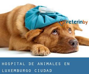 Hospital de animales en Luxemburgo (Ciudad)