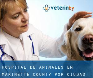 Hospital de animales en Marinette County por ciudad - página 1