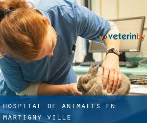 Hospital de animales en Martigny-Ville
