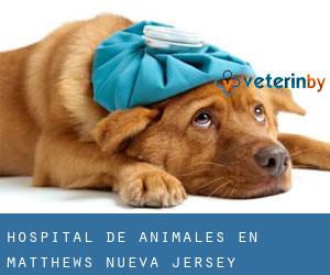 Hospital de animales en Matthews (Nueva Jersey)
