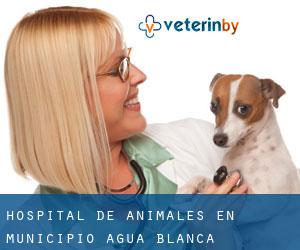 Hospital de animales en Municipio Agua Blanca