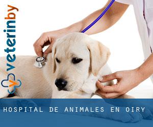 Hospital de animales en Oiry