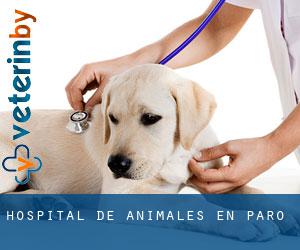 Hospital de animales en Paro