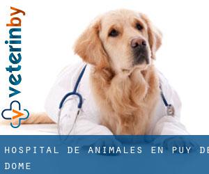 Hospital de animales en Puy de Dome