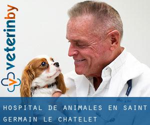 Hospital de animales en Saint-Germain-le-Châtelet