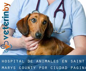 Hospital de animales en Saint Mary's County por ciudad - página 4