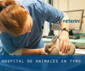 Hospital de animales en Tyro