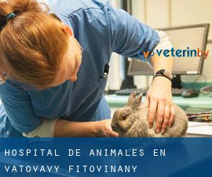 Hospital de animales en Vatovavy Fitovinany