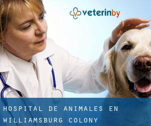 Hospital de animales en Williamsburg Colony