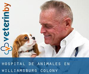 Hospital de animales en Williamsburg Colony