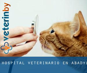 Hospital veterinario en Abadyl