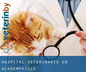 Hospital veterinario en Academyville