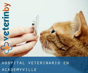 Hospital veterinario en Academyville