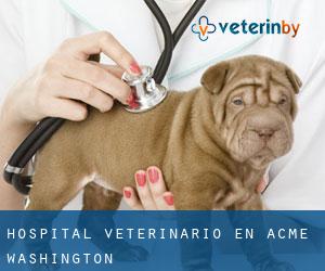 Hospital veterinario en Acme (Washington)