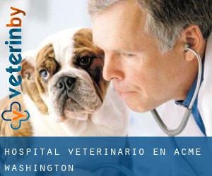 Hospital veterinario en Acme (Washington)