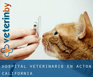 Hospital veterinario en Acton (California)