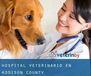 Hospital veterinario en Addison County