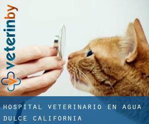 Hospital veterinario en Agua Dulce (California)