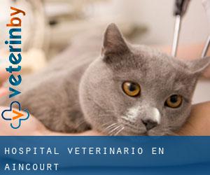Hospital veterinario en Aincourt