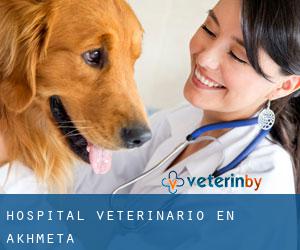 Hospital veterinario en Akhmeta