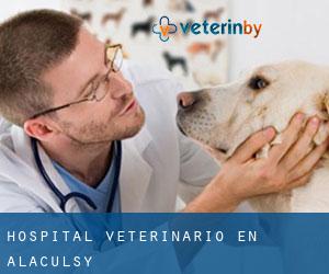 Hospital veterinario en Alaculsy