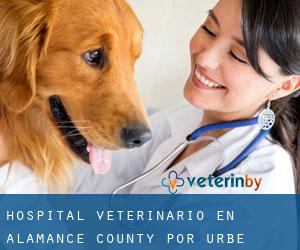 Hospital veterinario en Alamance County por urbe - página 1