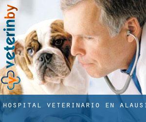Hospital veterinario en Alausí