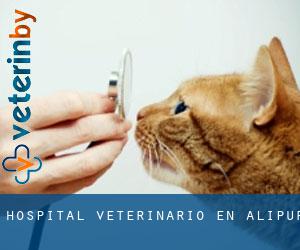 Hospital veterinario en Alīpur
