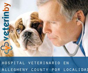 Hospital veterinario en Allegheny County por localidad - página 2