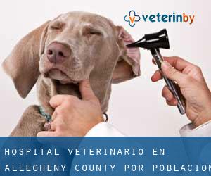 Hospital veterinario en Allegheny County por población - página 1