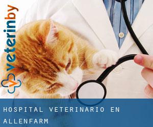 Hospital veterinario en Allenfarm