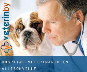 Hospital veterinario en Allisonville