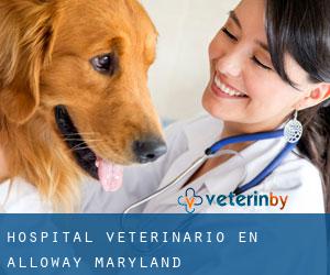 Hospital veterinario en Alloway (Maryland)