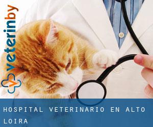 Hospital veterinario en Alto Loira
