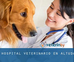 Hospital veterinario en Altuda