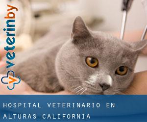 Hospital veterinario en Alturas (California)