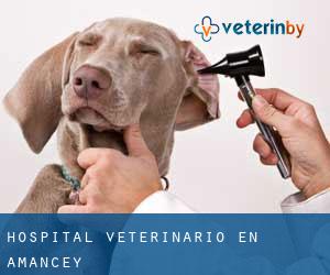 Hospital veterinario en Amancey