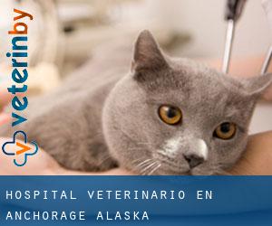 Hospital veterinario en Anchorage (Alaska)