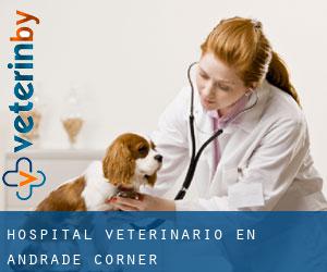 Hospital veterinario en Andrade Corner
