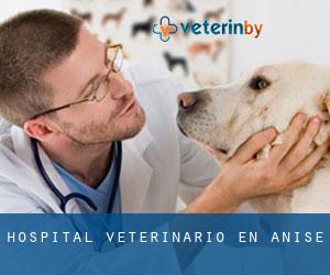 Hospital veterinario en Anise