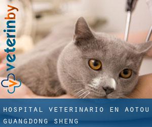 Hospital veterinario en Aotou (Guangdong Sheng)