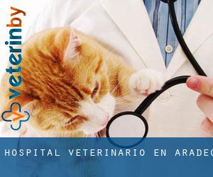 Hospital veterinario en Aradeo